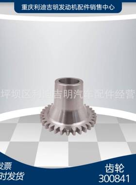 重庆柴油机零件 k19发电机组配件 原装替换件 齿轮300841
