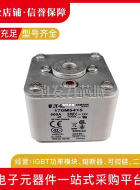 170M6494 170M6495 170M6496 170M6497 170M6498原装快速熔断器