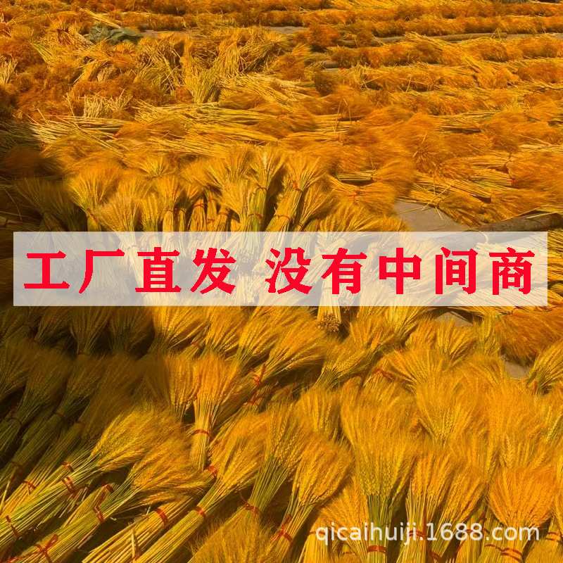 麦穗干花厂家直销供货 黄金大麦穗开业花篮装饰材料压花花束