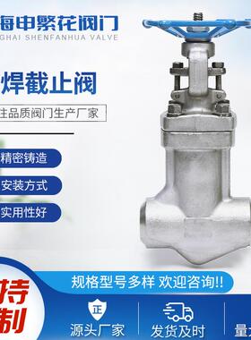 WJ61W-800LBPF304波纹管密封焊接截止阀高温蒸汽导热油沥青阀门