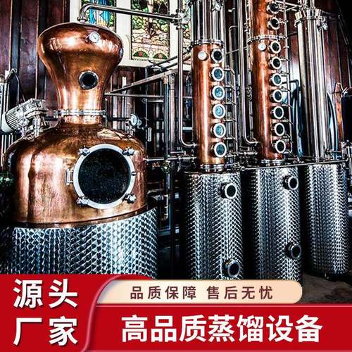 厂家直销温州大宇柱式蒸馏器威士忌金酒白兰地伏特加蒸馏设备