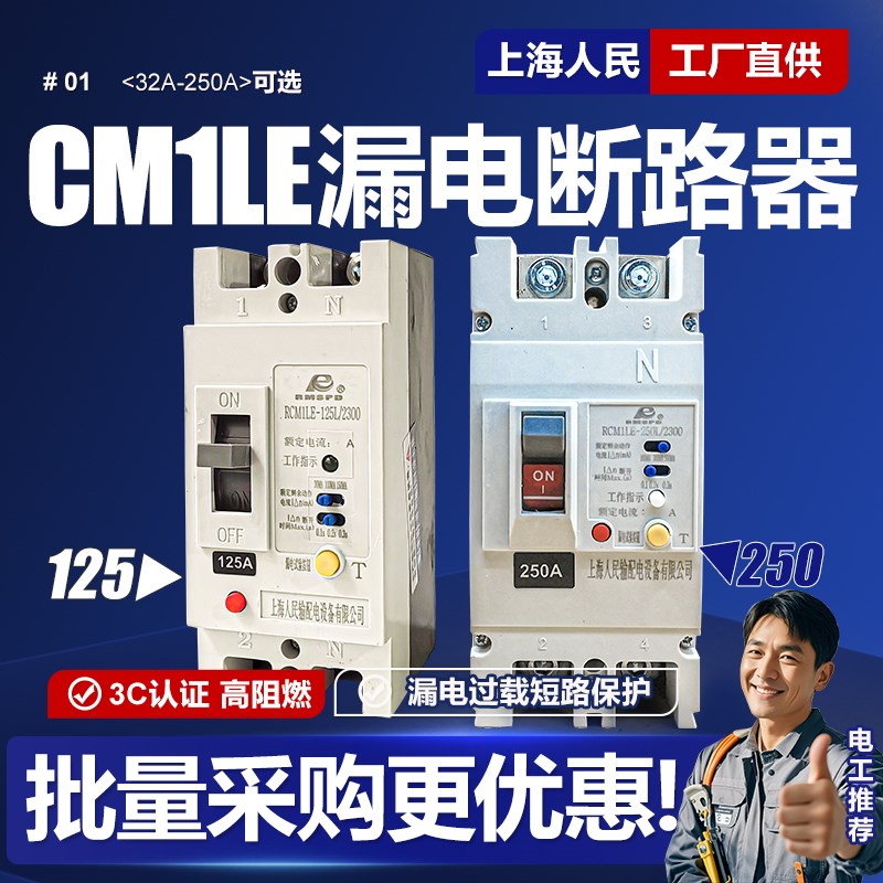 CM1LE单相漏电断路器63A 100A 125A 160A 250A塑壳漏保220V空开2P