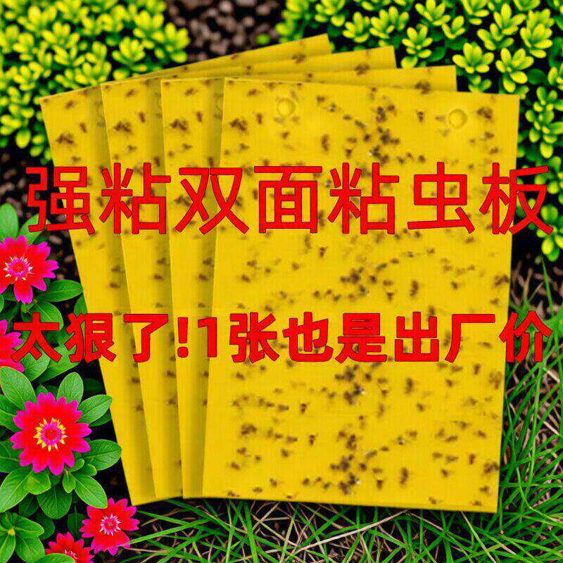 黄板双面粘虫板诱捕器