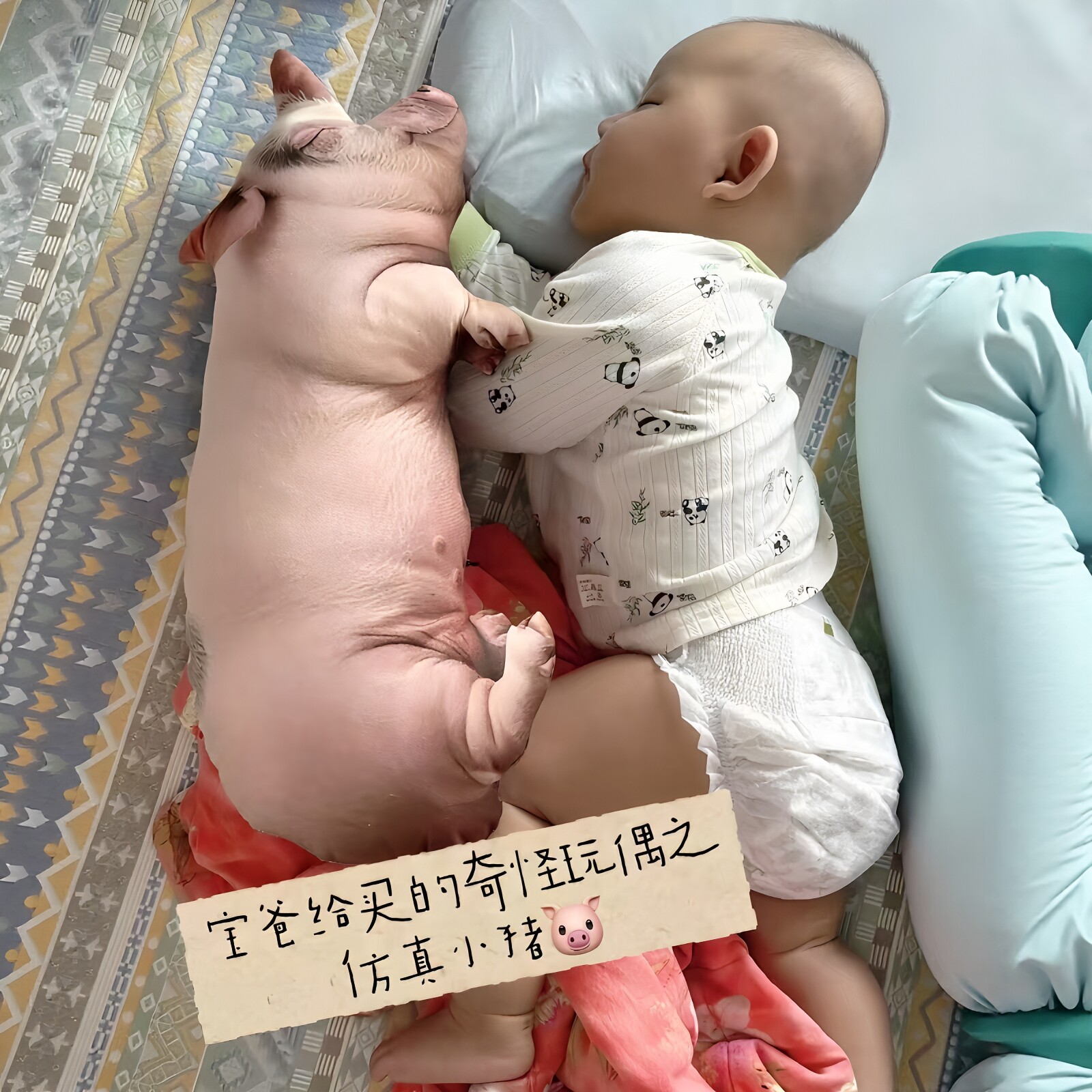 爸爸买的玩具！猪猪抱枕儿童陪睡玩偶长条抽象毛绒公仔送孩子礼物图片