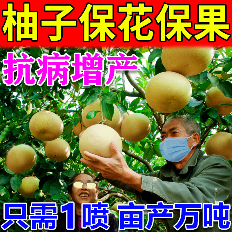 柚子保花保果药专用肥料