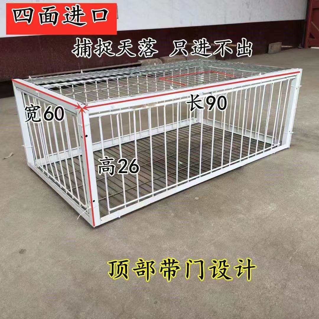 器用品用具鸽子活络门撞门信鸽赛鸽用品加厚加密回笼门