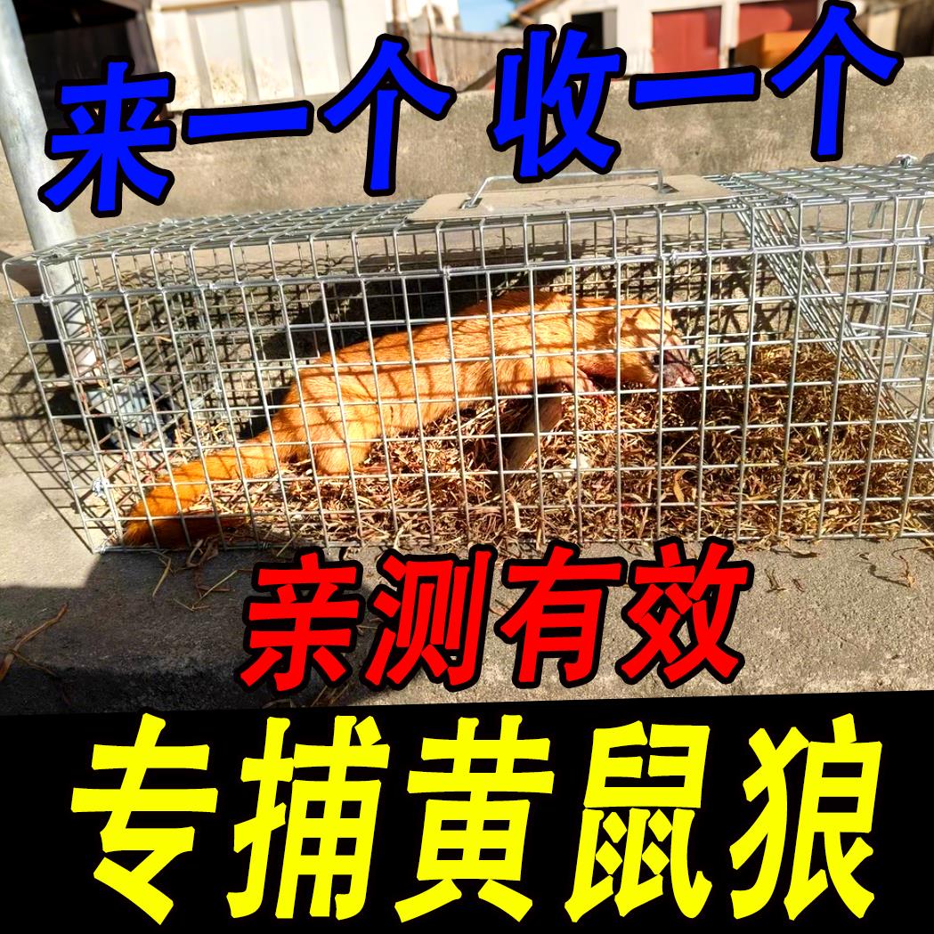 捕抓黄鼠狼神器全自动捕捉笼可折叠踏板式野户外笼黄鼠狼抓捕笼子