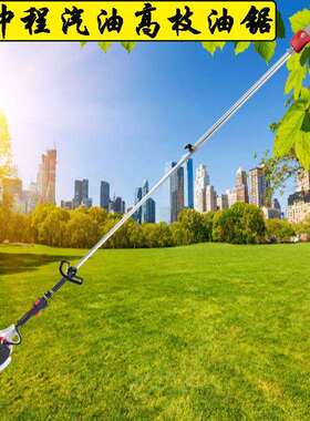 园林绿化伐条四冲程汽油高枝油锯 便捷式操作的充电式电动高枝锯