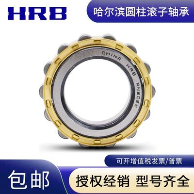 哈尔滨轴承减速机RN 304 305 306 307 308 309 310 311 312 313 M