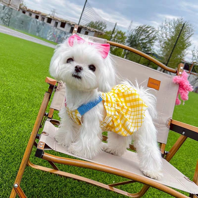 宠物衣服韩国撞色吊带裙南瓜裙泡泡裙春夏居家猫咪狗狗公主可爱,宠物/宠物食品及用品,狗宠物服装/雨衣,淘宝优惠券,粉丝福利购,淘宝优惠卷