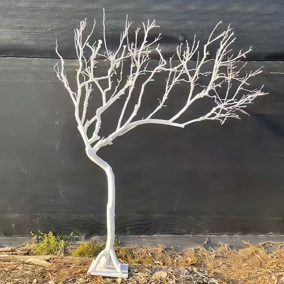 干树枝造景干枝树干橱窗装饰树原木树枝婚庆酒店造型树白树许愿树