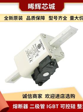 170M3744 170M3745 170M3746 电子元器件低压快速熔断器现货直接