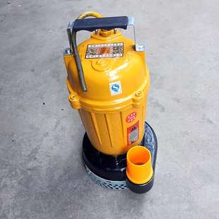 0.75KW单相污水污物潜水电泵 厂家供应 人民水泵WQD10