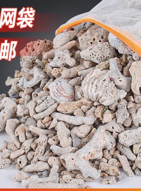 天然大块珊瑚骨滤材鱼缸过滤材料净水珊瑚石净化珊瑚砂过滤沙石