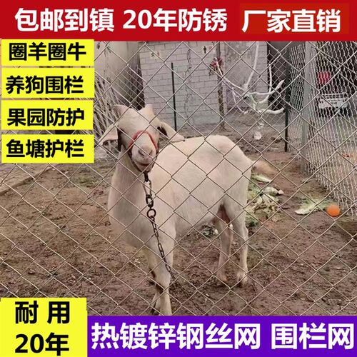 热镀锌钢丝网防锈铁丝网r勾花网牛羊鸡鸭养殖网养狗圈地果园围栏