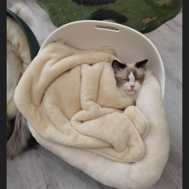 猫咪毛毯小被子宠物毛毯猫毯子猫睡觉冬季保暖狗狗毯子专用毛毯垫