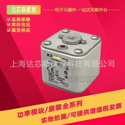 170M3408 170M3409 170M3410 170M3411 170M3412 170M3413熔断器