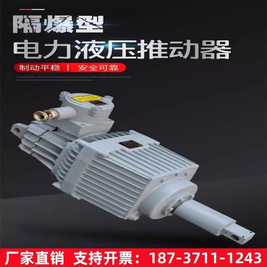 电机隔爆型电力液压推动器 BED301/12 抱闸刹车卷扬机防爆型油泵