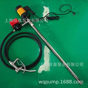 1200HP电动计量抽液泵 上海旺泉HD SS304 吨桶加注设备