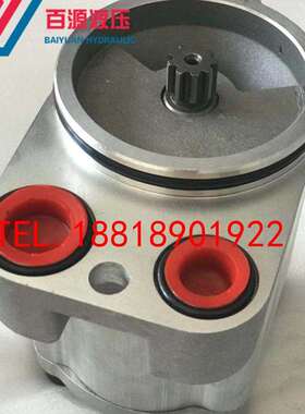 卡特330C E330B 336 345D挖掘机液压泵配件 A8VO200先导泵齿轮泵