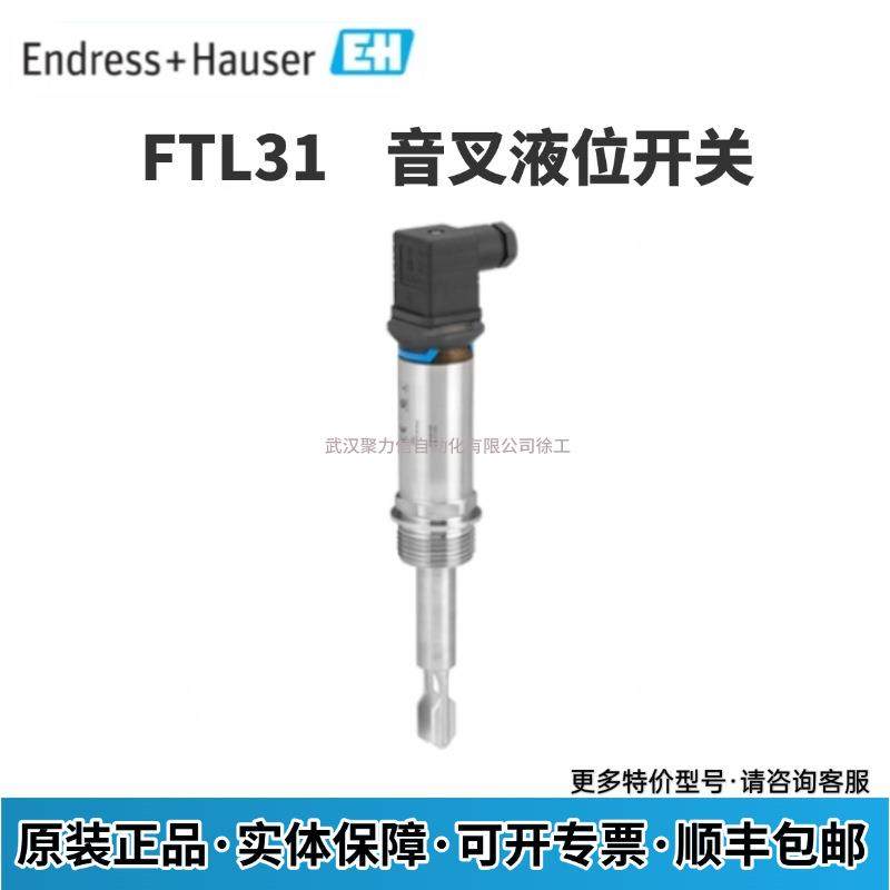 FTL31-11W5/0 FTL31-AA1U3BAWSJ德国E+H 音叉液位开关 现货