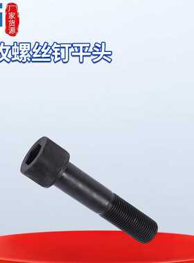 钢结构连接副螺栓8.8级T型GB3736*250高强度自攻螺丝钉平头螺纹