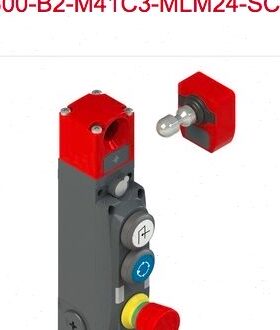 L300-B1-M41C3-MLM24-SCA L300-B2-M41C3-MLM24-SCA