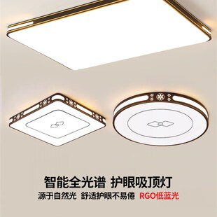 大厅吸顶灯饰客厅大灯主卧室吊灯具大全现代简N约大气中山2025新