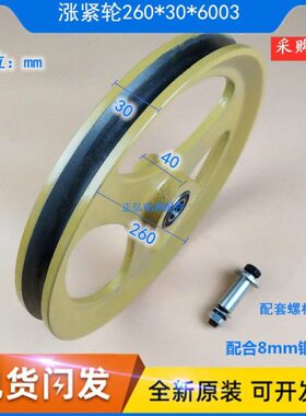 电梯XS电梯3/B/0-蒂森底坑张紧器26涨紧轮3适用轮3XS-通力060限速