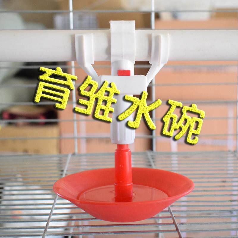 养小鹅鸭子育雏自动饮水器喂水器育雏水碗鸡用挂式全自动喂鸡鹅水
