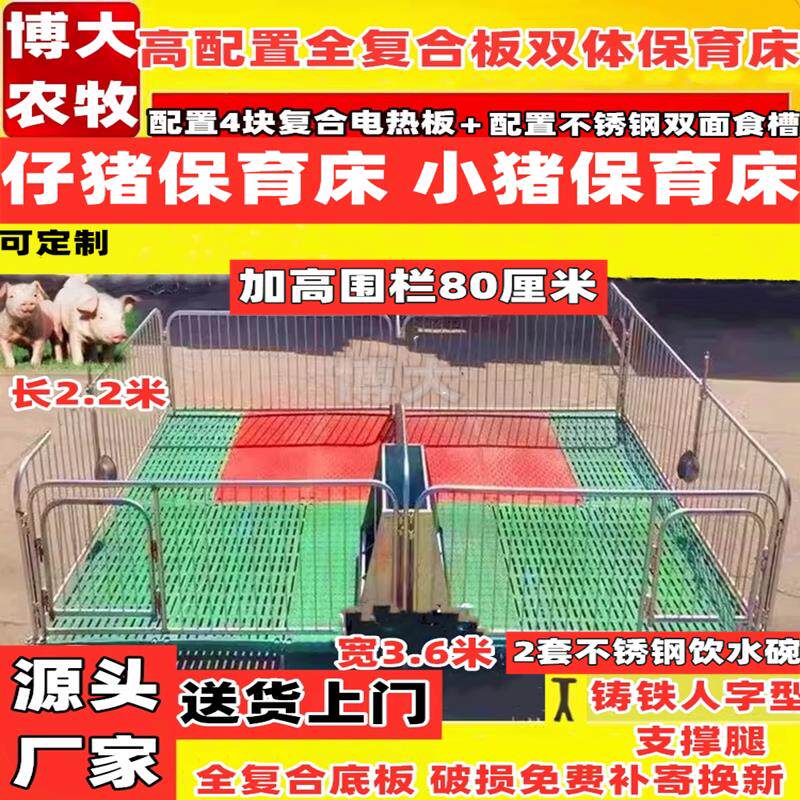 加厚仔猪保育床全覆合板热浸镀锌管小猪保育床保育栏母猪产床定位