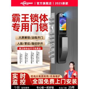 霸王锁体智能锁全自动款人脸指纹密码锁家用门锁带摄像头上门安装