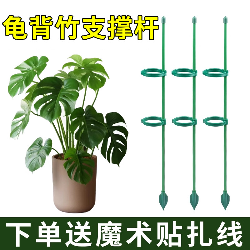 植物支撑a杆龟背竹花支撑架绿植园艺蔬菜固定神器番茄西红柿爬藤,鲜花速递/花卉仿真/绿植园艺,花架,淘宝优惠券,粉丝福利购,淘宝优惠卷