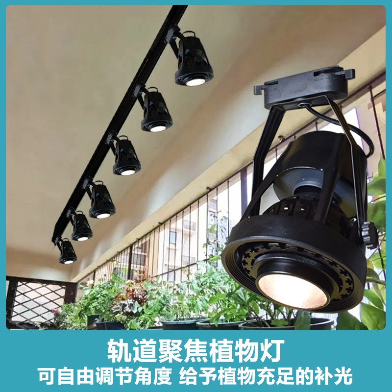 轨道款射灯植物补光灯天南星科绿热植类观叶全光谱导轨植物生长灯