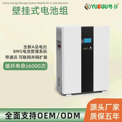 51.2V 300AH家储壁挂大容量储能电池组 A品磷酸铁锂电芯 15360WH