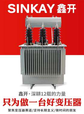 s20-100千瓦125kw高过载160kva工业200千伏安250降压油浸式变压器