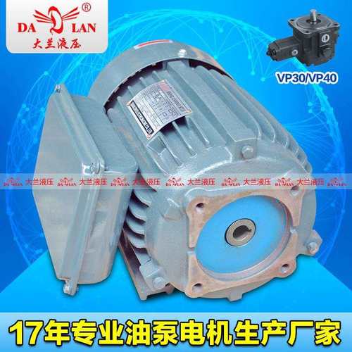 DALAN大兰220V单相内轴液压电机 单相VP30油泵电机YT100L-4-2.2KW