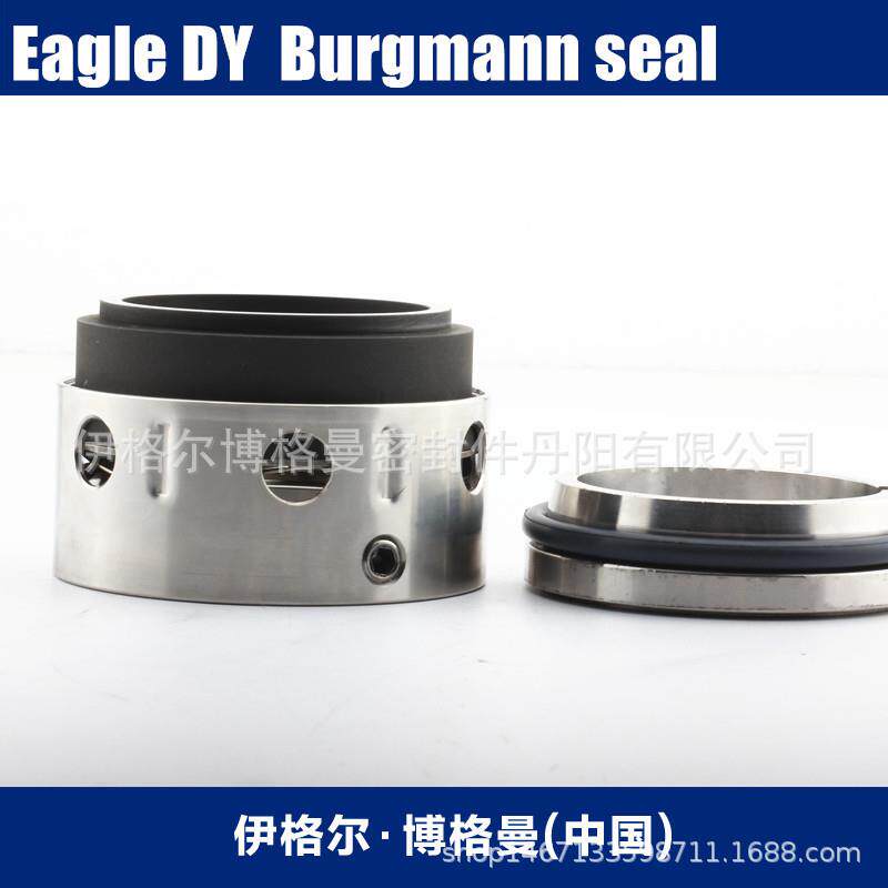 Eagleburgmann机械密封机封滤布及滤饼冲洗水泵ISW50-200博格曼