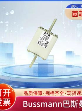 熔断器170M5884 170M5885 170M5886 170M5887 170M5888 170M5889