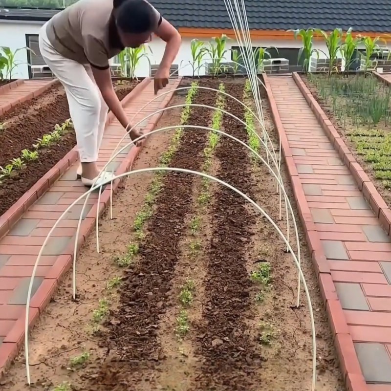 搭豆角架杆蔬菜丝瓜爬藤架新型菜园搭架杆遮阳网支撑杆种菜角架子