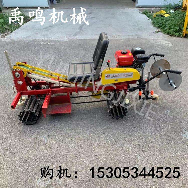 大姜播种机 生姜姜芽播种机老姜种植滴灌覆土一体机 黄姜移栽机