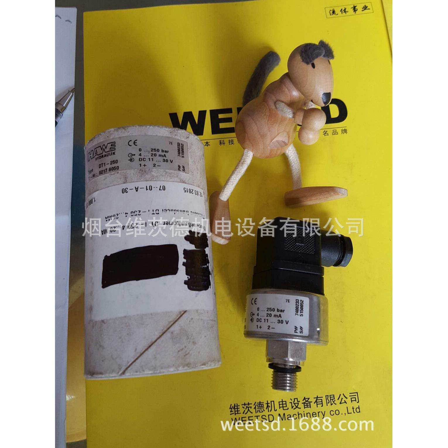 HAWE DT1 1-250压力变song器