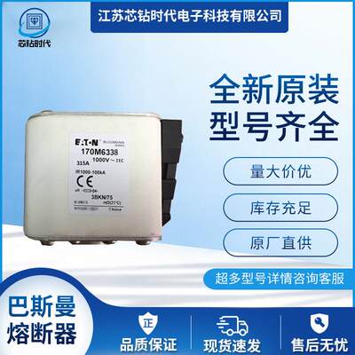 170M6344 170M6345 170M6346 巴斯曼BUSSMANN熔断器保险丝