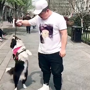 来图定制印照片男女款亲子加肥加大码短袖T恤胖子班服定做情侣装