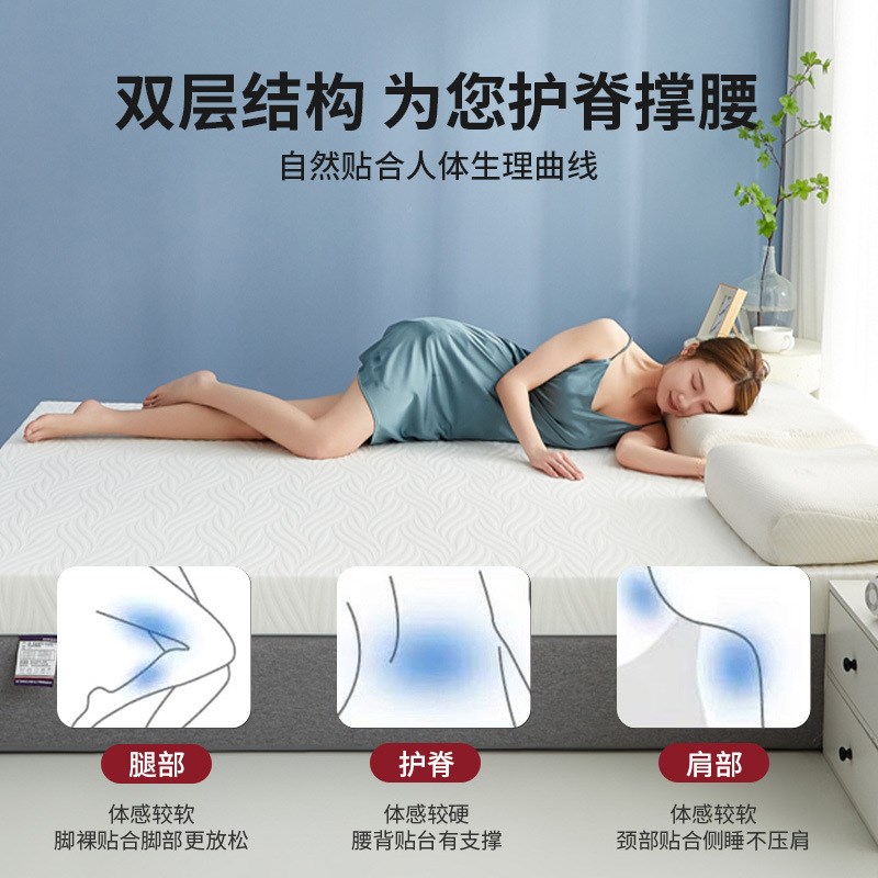 可拆卸海绵床垫家用记忆棉单双人软垫酒店榻榻米学生床1.5高密度