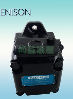 T6C 008/010/012 1R00/1R01/1R02/1R03 A1/B2 DENISON 丹尼逊