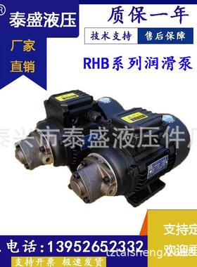 泰兴市泰盛液压件厂RHB-1JZ-1/120W/380V正转摆线齿轮油泵电机220