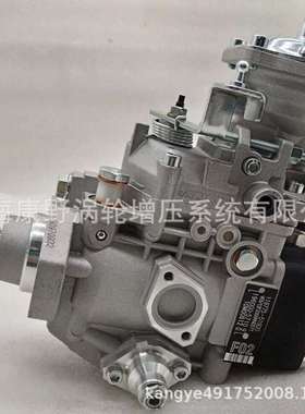 油泵196000-5710 119775-51920和0460416069和0460426528 5317366