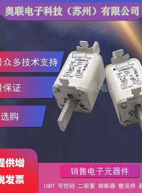 熔断器电容170M5594 170M5595 170M5596 170M5597 170M5598巴斯曼