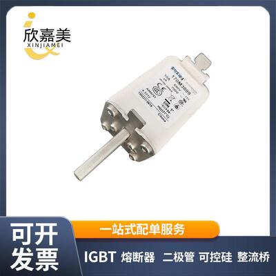 170M3809 170M3471 快速熔断器 电子元器件 型号齐全 量大价优